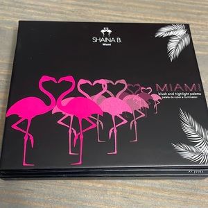 Shaina B Miami Blush And Highlight Palette Full Size Bronze Luminizer